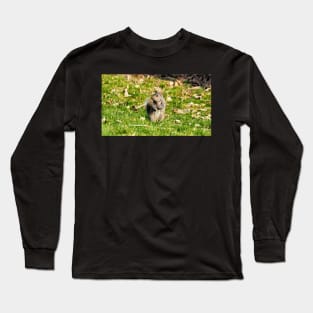 A Squirrel Crossing Its Arms Long Sleeve T-Shirt